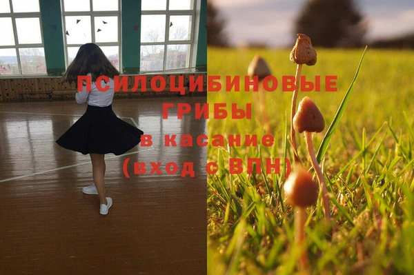 мяу мяу мука Бугульма