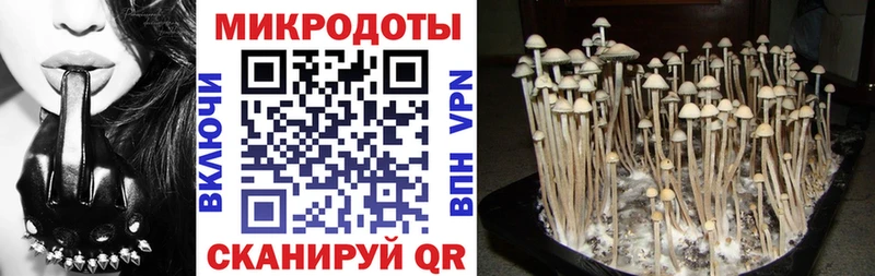 Галлюциногенные грибы Psilocybe  купить  цена  Назарово 