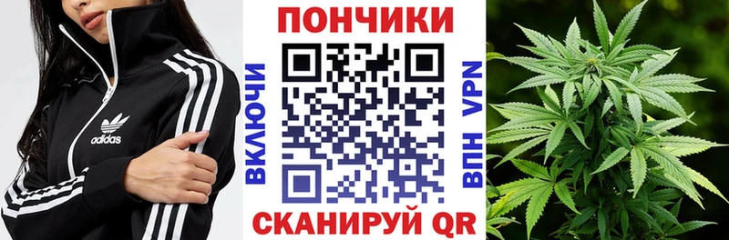 Бошки марихуана конопля  Назарово 